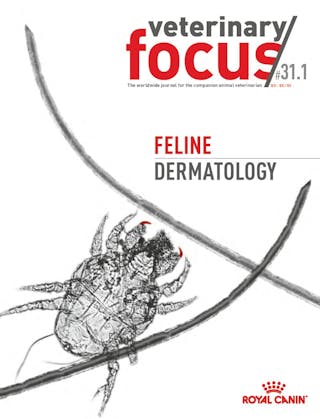 Vet Focus Issue 31.1 Feline Dermatology